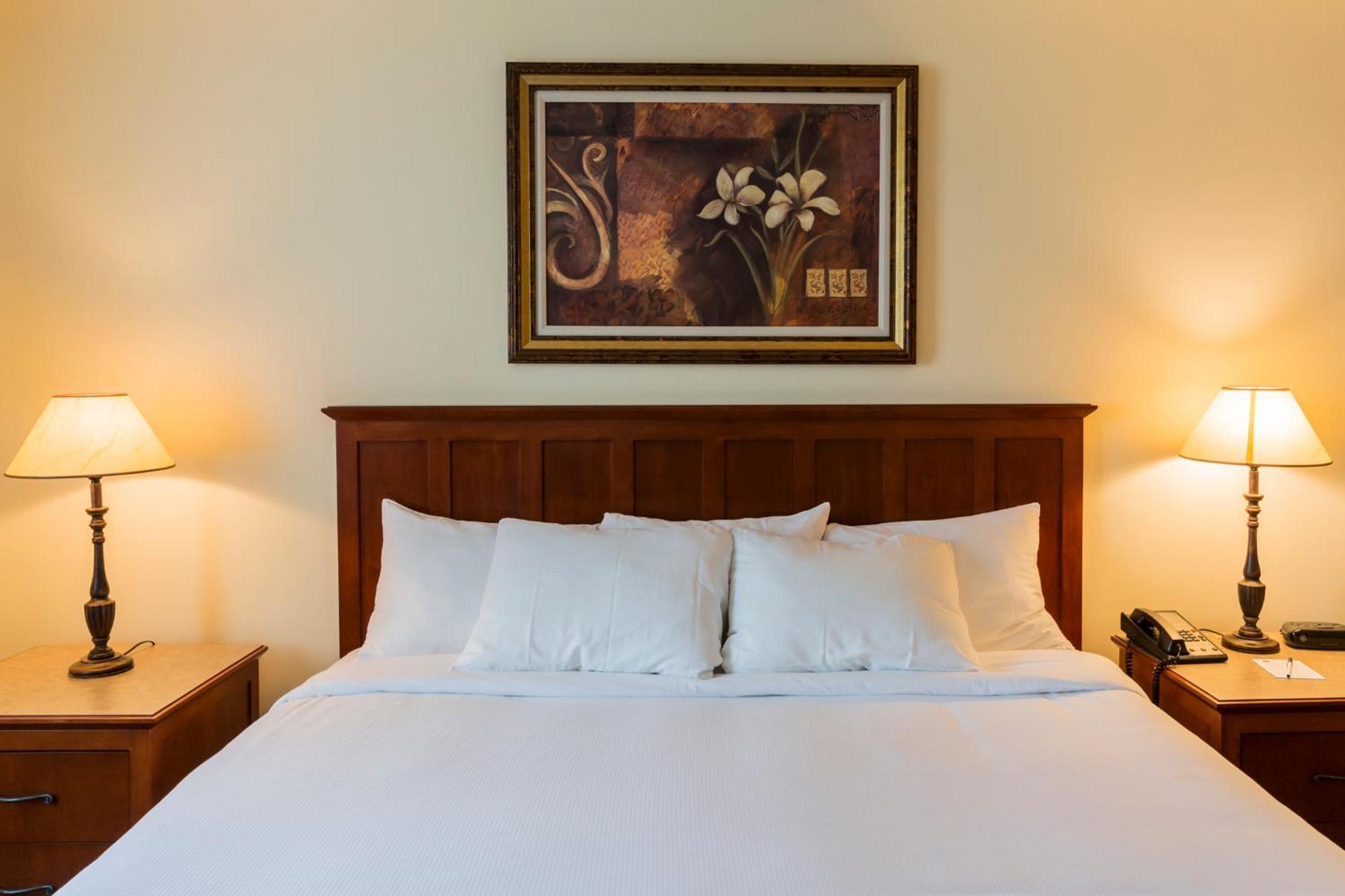 Hotel St-Bernard Saint-Bernard-de-Lacolle ภายนอก รูปภาพ